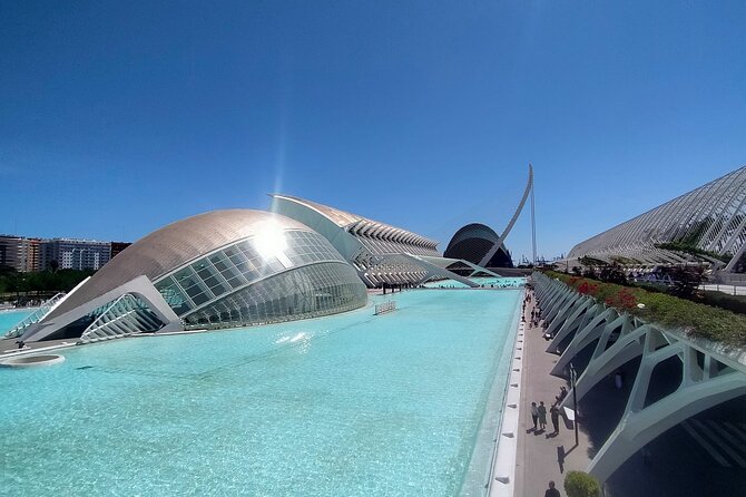 Half Day Bike Tour Through the City of Valencia - Safety Tips for City Cycling