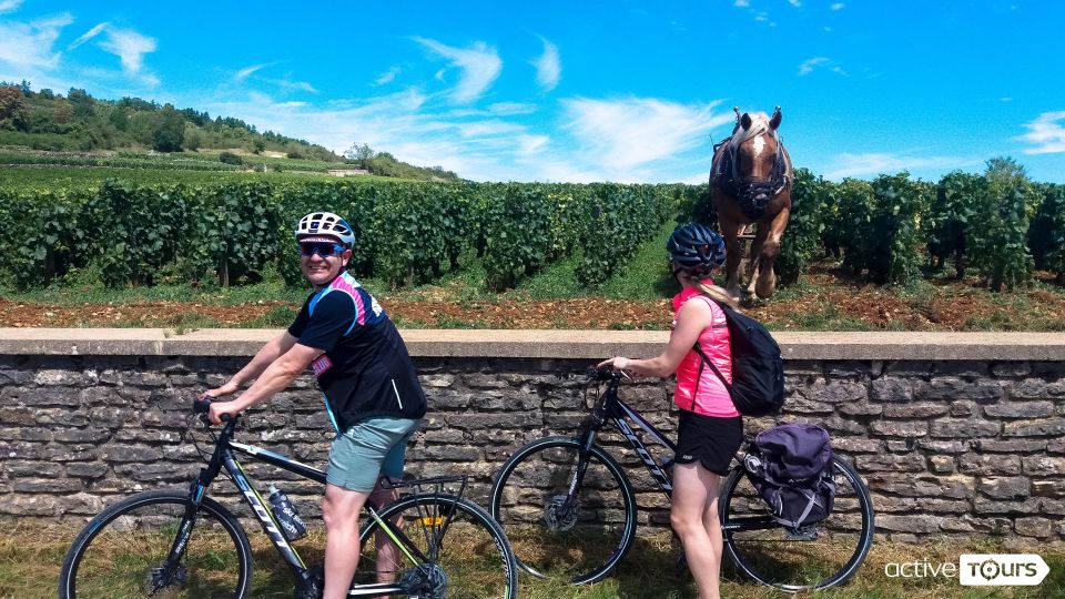 Half Day Bike & Wine Tour in Burgundy - Tour Inclusions