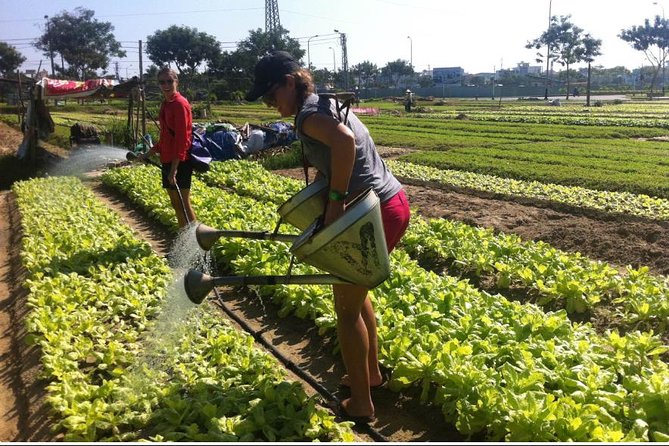 Half Day Cooking Class At Tra Que Vegetable Village Hoi An - Overall Overview of Cooking Class