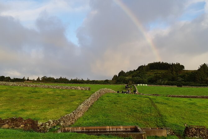 Half-Day Farm Visit and Cow Milking Experience - Traveler Reviews and Ratings