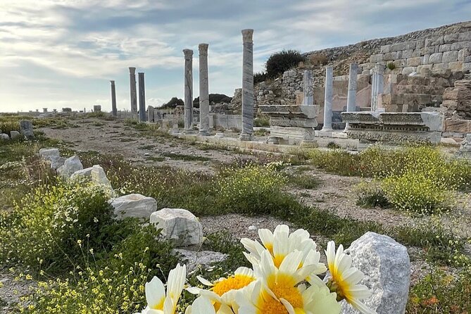 Half Day Guided Knidos Ancient City Tour - Tour Inclusions