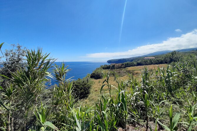 Half Day Hike Waterfalls Moinho Do Felix With Tea Plantation - Scenic Vistas