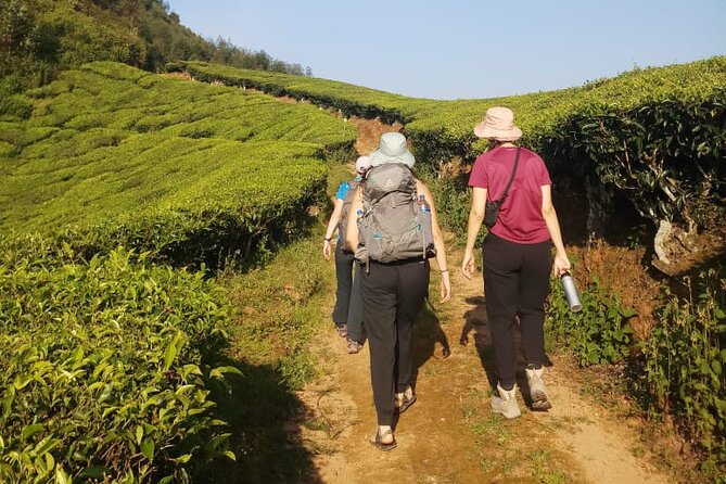 Half Day Hiking in Munnar Trekking Tour - Packing Essentials for Hikers