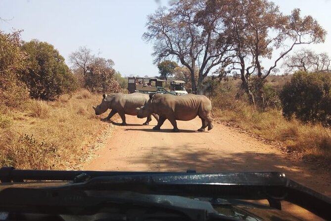 Half Day Kruger Open Vehicle Safari From Marloth Park - Wildlife Encounters