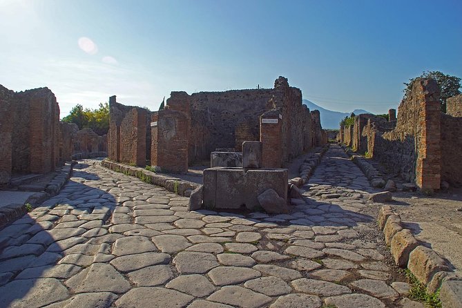 Half Day Morning Tour of Pompeii From Sorrento - Reviews and Recommendations