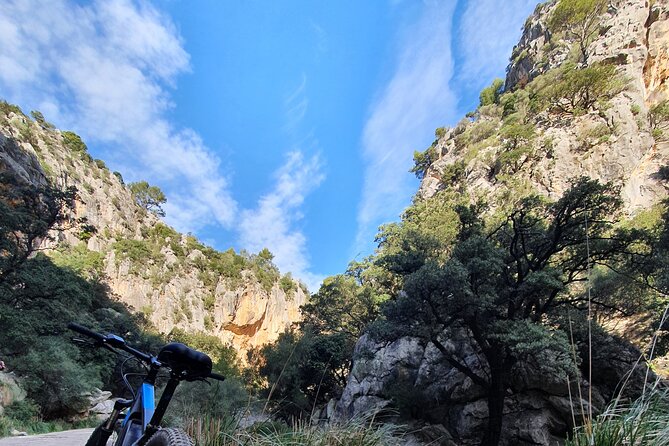 Half-Day Mountain Bike Experience to Serra De Tramuntana, - Cancellation and Refund Policy