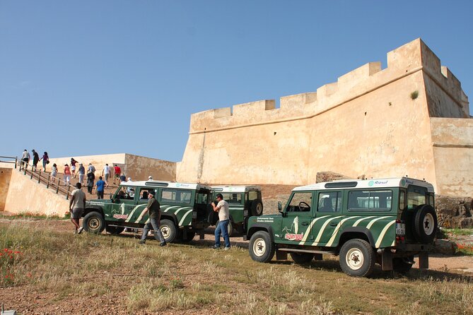 Half-Day Nature Safari in the Algarve - Viator Information