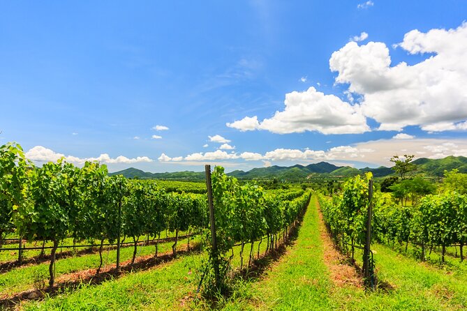 Half-Day Private Monsoon Valley Vineyard Wine Tour From Hua Hin - Booking Information