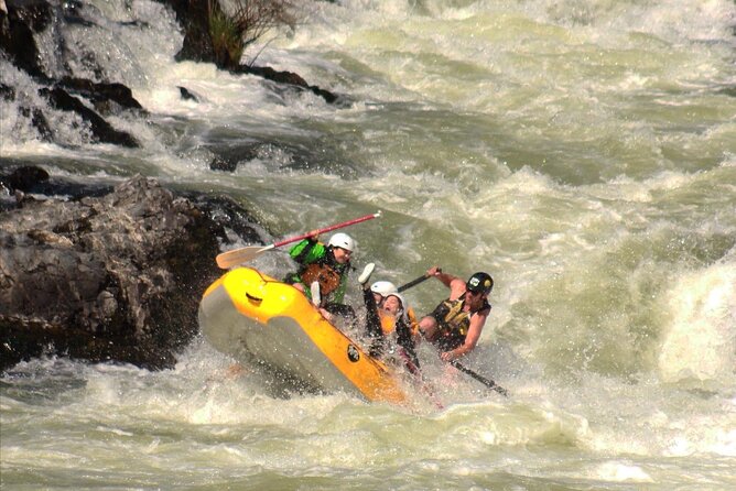 Half Day Rogue River White Water (Class I- IV) - Inclusions