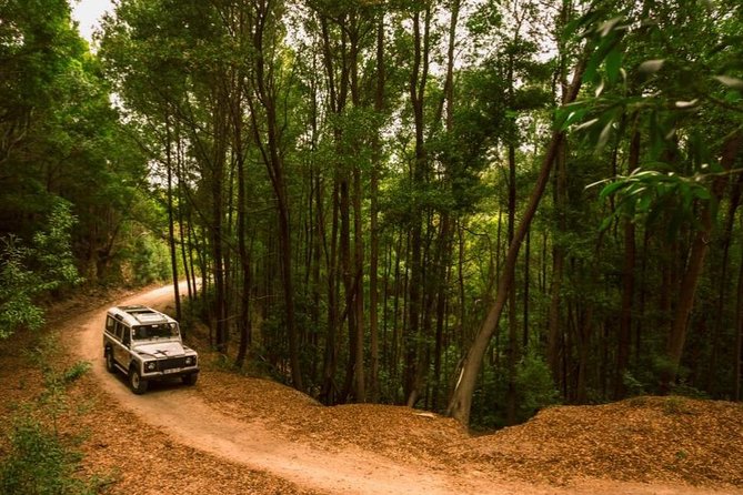 Half-day Sintra Jeep Safari - Reviews