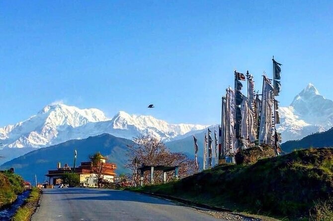 Half Day Tibetan Refugee Camp Tour In Pokhara - Insider Tips