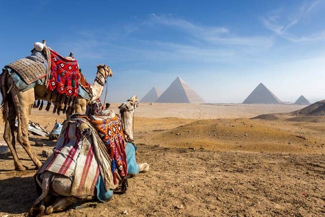 Halfday Private Guided Tour of Giza Pyramids & Sphinx With Lunch - Lunch Details