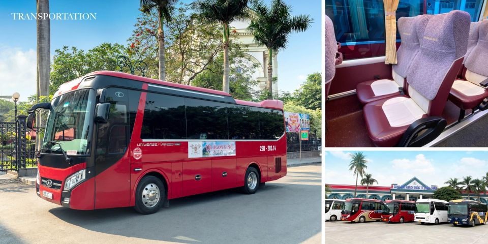 Halong Bay Day Cruise,All Included:Transfer,Lunch,Cave,Titop - Hassle-free Transportation