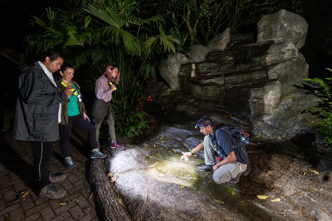 Hanging Bridges Twilight Walk in Arenal Volcano - Cancellation Policy Details