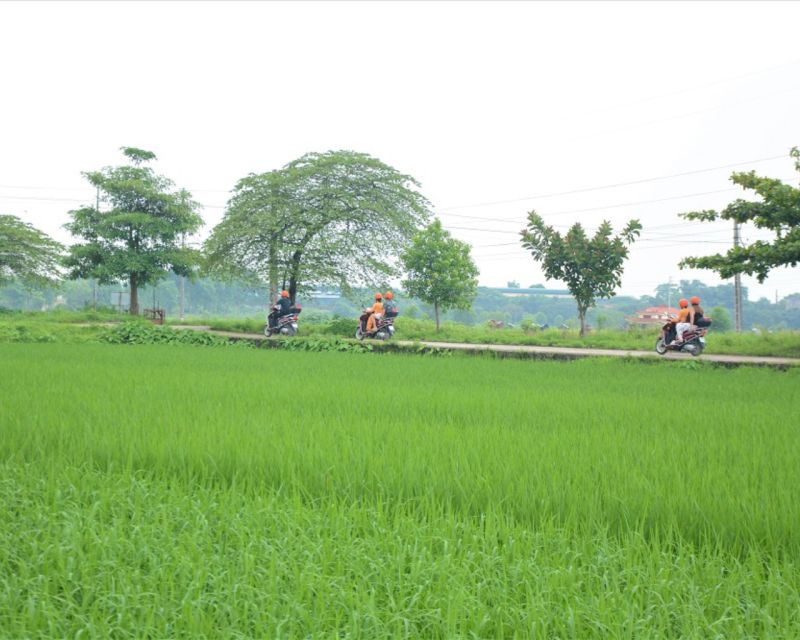 Hanoi Scooter Tour of Countryside, Rice Fields & Local Home - Tour Description