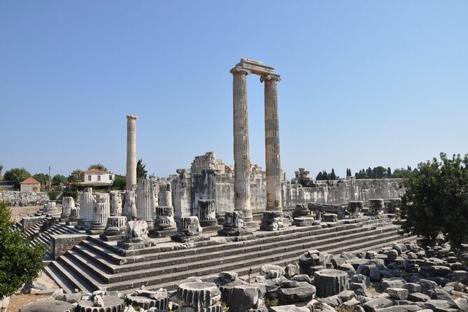 Heart of Aegean: Private Priene - Miletus - Didyma Tour - Professional Tour Guide