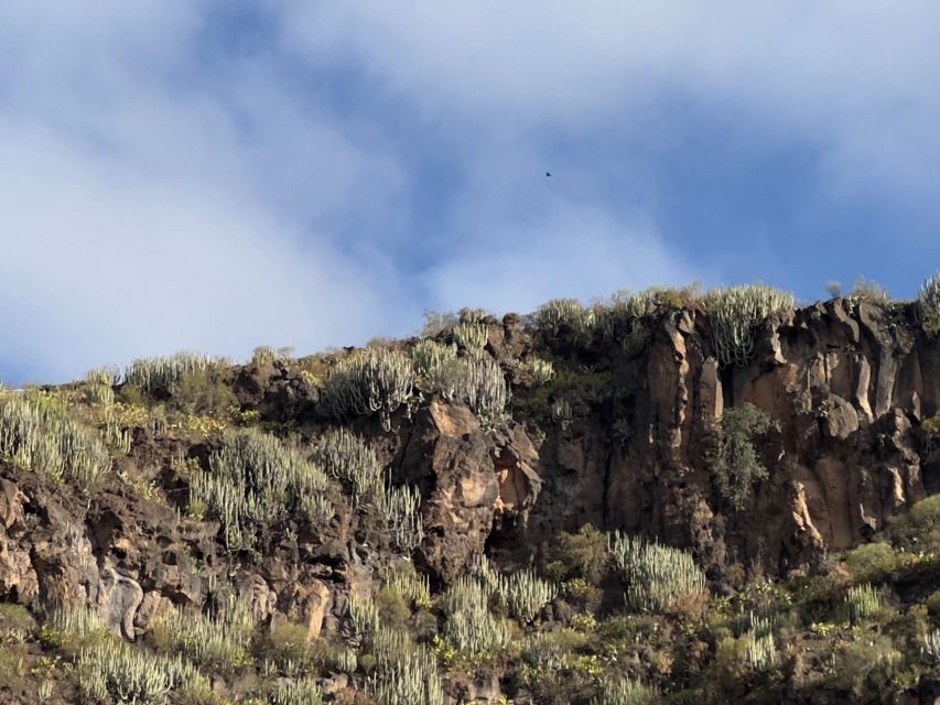 Hell's Gorge Hike - Barranco Del Infierno - Adventure Highlights