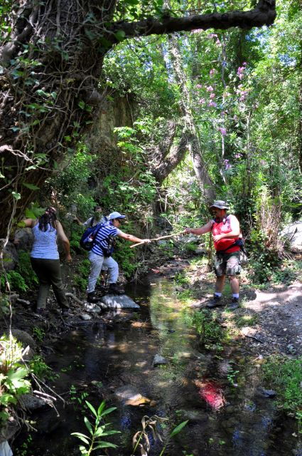 Heraklion: Full Day to Rihti Waterfalls, Mochlos, Azoria - Inclusions