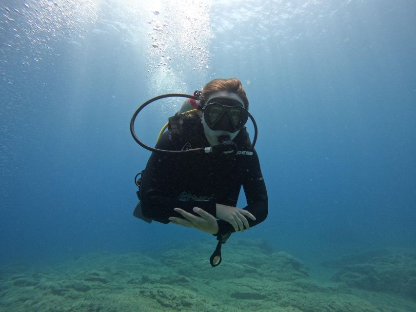 Heraklion: Scuba Diving Trip for Beginners - Important Information