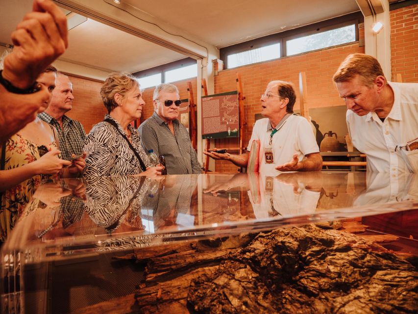 Herculaneum: Private Walking Tour With Archeologist Guide - Experience