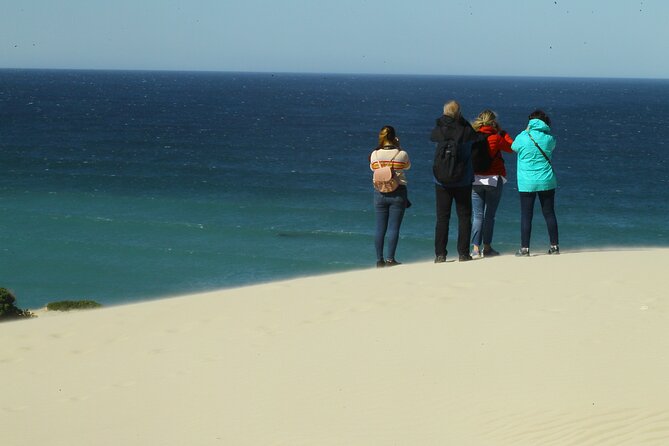 Hermanus Land Based Whale Walking Tour With Dave De Beer - Itinerary