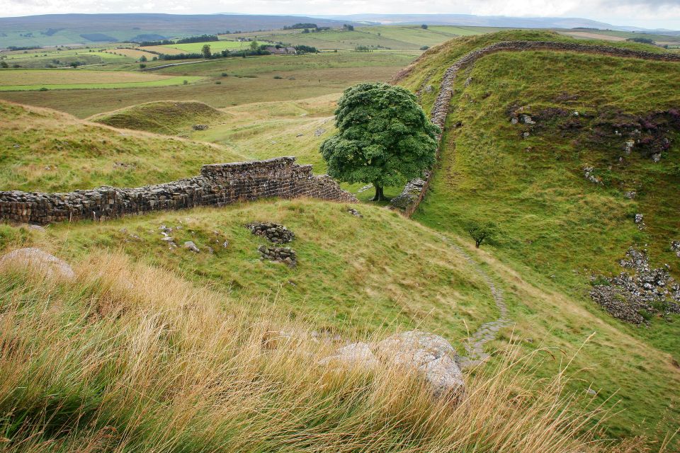 Hexham: Hadrians Wall and The Romans Full Day Guided Tour - Description
