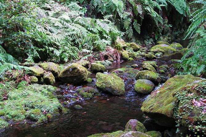 Hidden Corners: Levada Walk From Funchal - Important Information