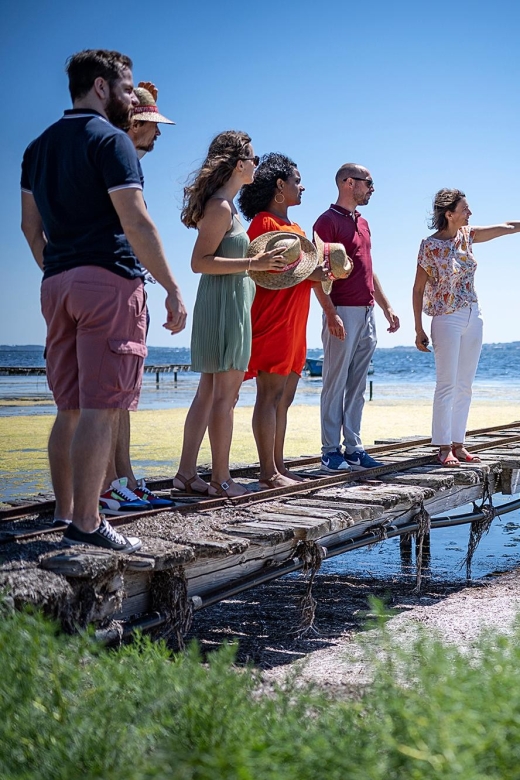 Highlights of Sète, Wine and Oyster Tour - Vineyard Wine Tasting