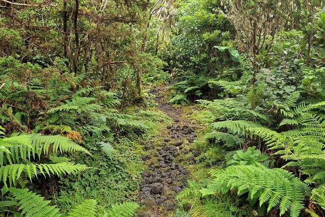 Hike 3 Hours Inland Terceira Island - Tips for a Memorable Hiking Experience