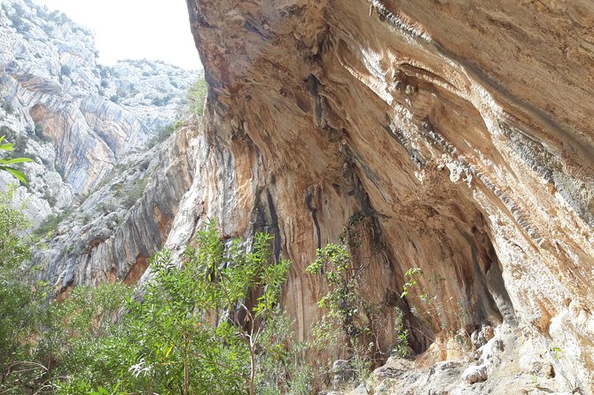 Hike to Gorropu Canyon - Visitor Reviews