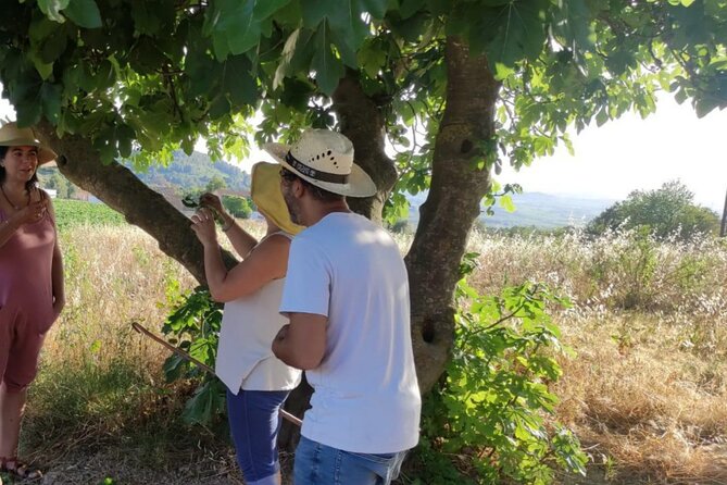 Hiking and Wild Tapas, Discovering the Secret of Plants - Taking in Natures Bounty