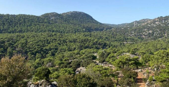 Hiking Kroustas Forest - Inclusions