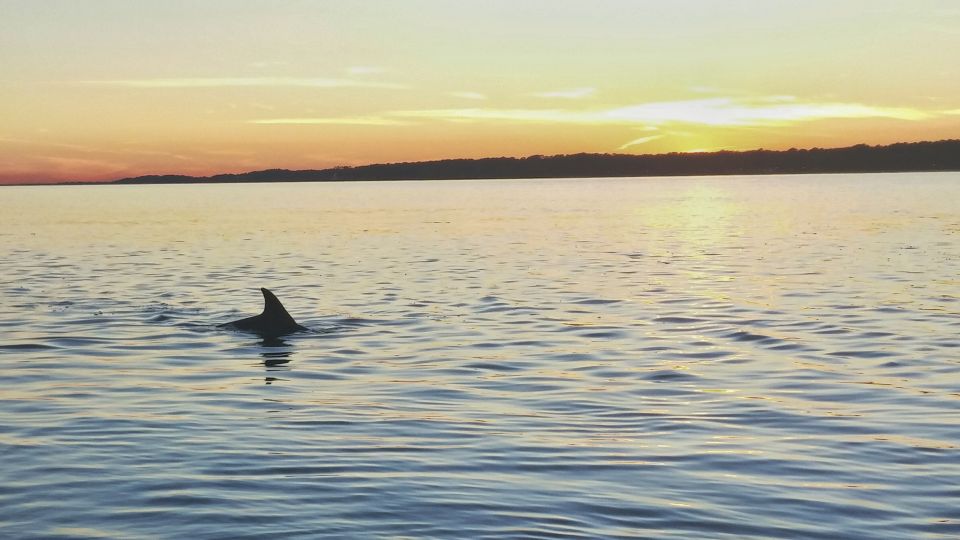 Hilton Head Island: Dolphin Watching 3-Course Dinner Cruise - Booking Process