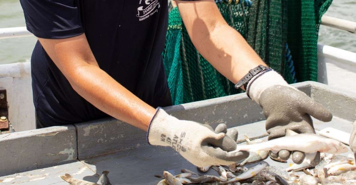 Hilton Head Island: Shrimp Trawling Boat Tour - Participant Information