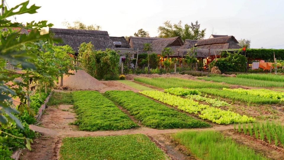 Hoi An : Basket Boat & Farming and Cooking Class in Tra Que - Full Description