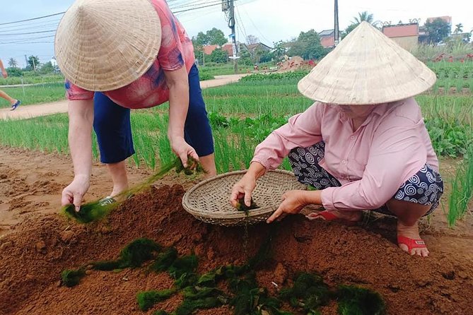 Hoi an Countryside Tour With Bamboo Basket Boat Rowing , Buffalo Ride, Farming - Insider Tips