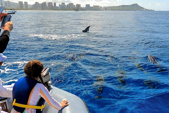 Honolulu Private Whale-Watching Cruise  - Oahu - Reviews & Feedback