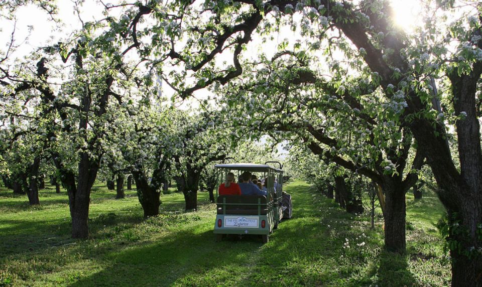 Hood River: Orchard Tour - Restrictions & Location