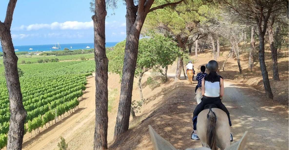 Horse Back Riding + Wine Tasting in Ramatuelle - Itinerary