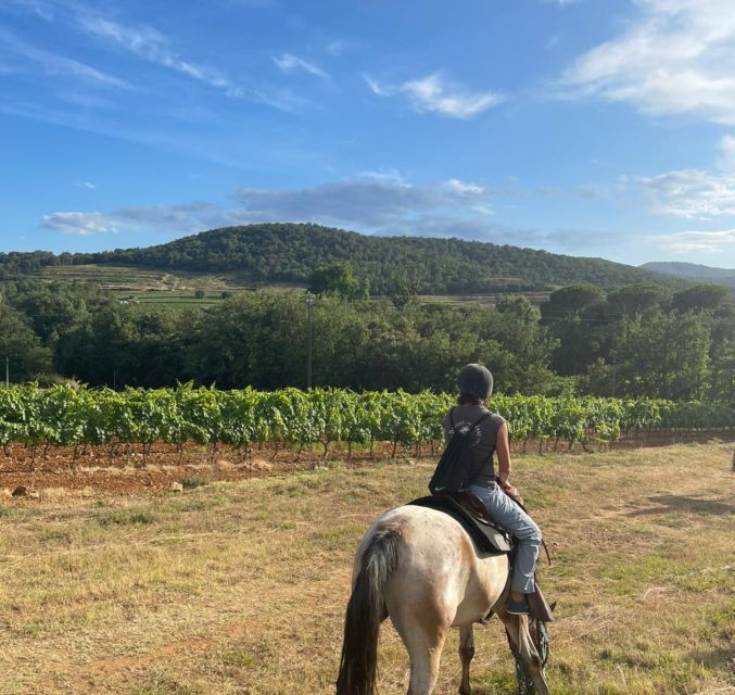 Horse Back Riding + Wine Tasting in the Maures Forest - Highlights