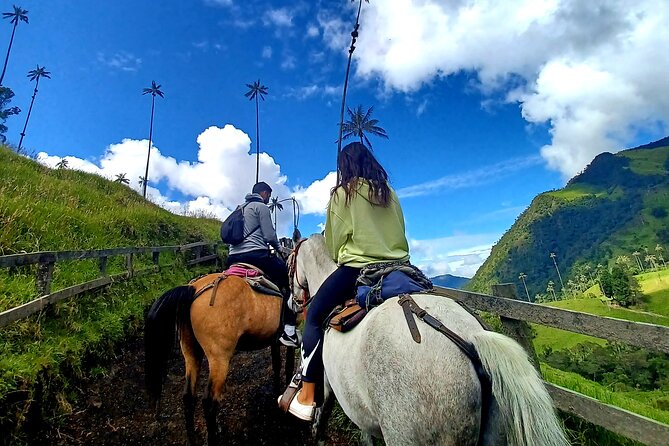 Horse Riding Cocora Valley - Pricing and Group Size