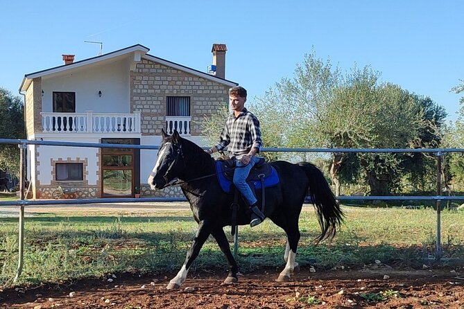 Horse Riding in the Gargano National Park - Directions to Gio Horses Ranch