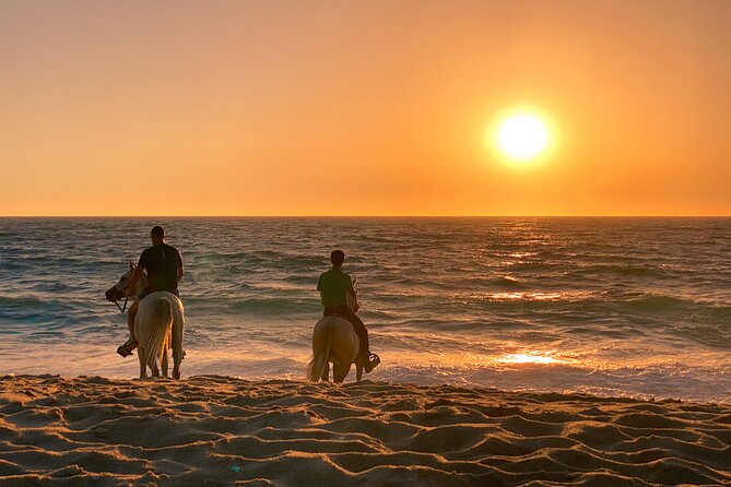 Horse Riding on Melides Beach - Additional Details