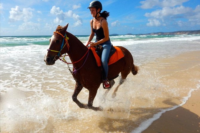 Horse Riding Tour 2 Hours Sea and Desert With Transfer - Hurghada - Additional Information