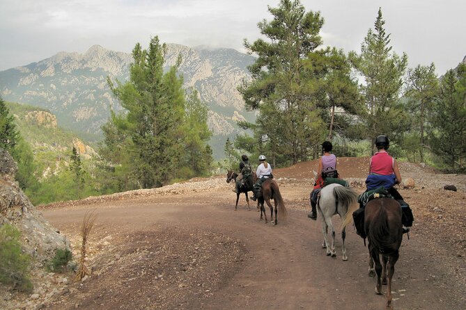 Horse Riding Tour in Bodrum With Hotel Pick up - Additional Information