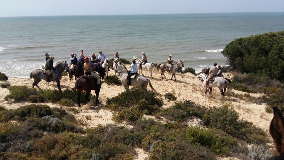 Horse-Riding Tour in Doñana National Park - Booking Details