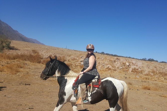 Horse Riding Tour in the Andes Santiago Chile - Cancellation Policy