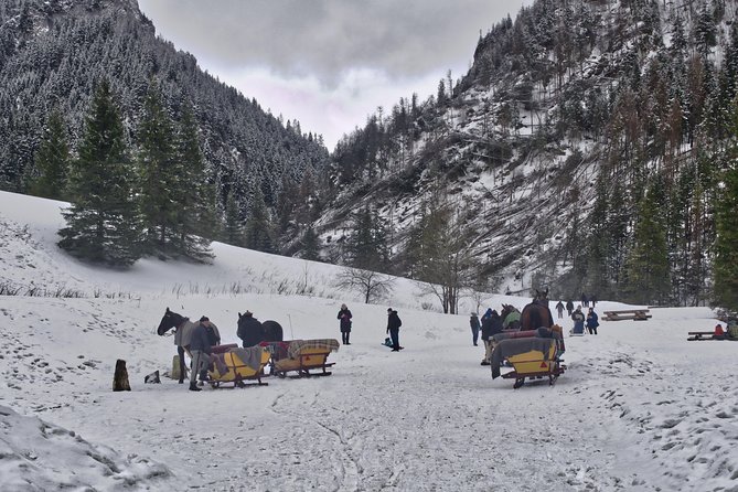 Horse Sleigh Ride in the Polish Countryside, Private Tour From Krakow - Pickup and Transportation