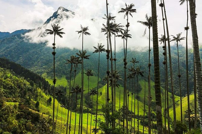 Horseback Riding and Excursion in Cocora Valley - Directions