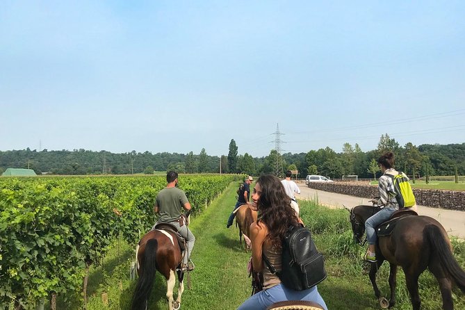 Horseback Riding and Wine Tasting - Meeting Point and Time